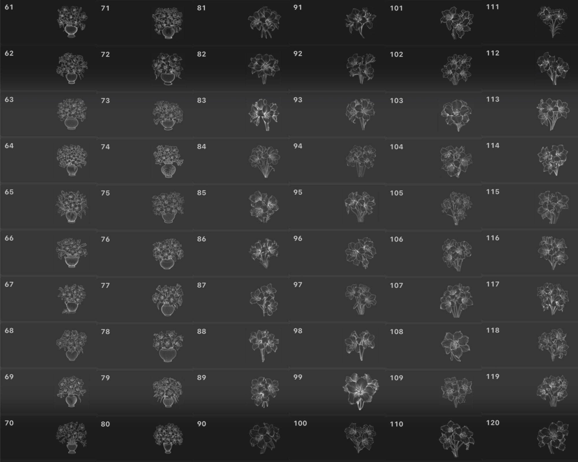120 Amaryllis Flower Procreate Stamps: Brush Set (digital Download) - Etsy
