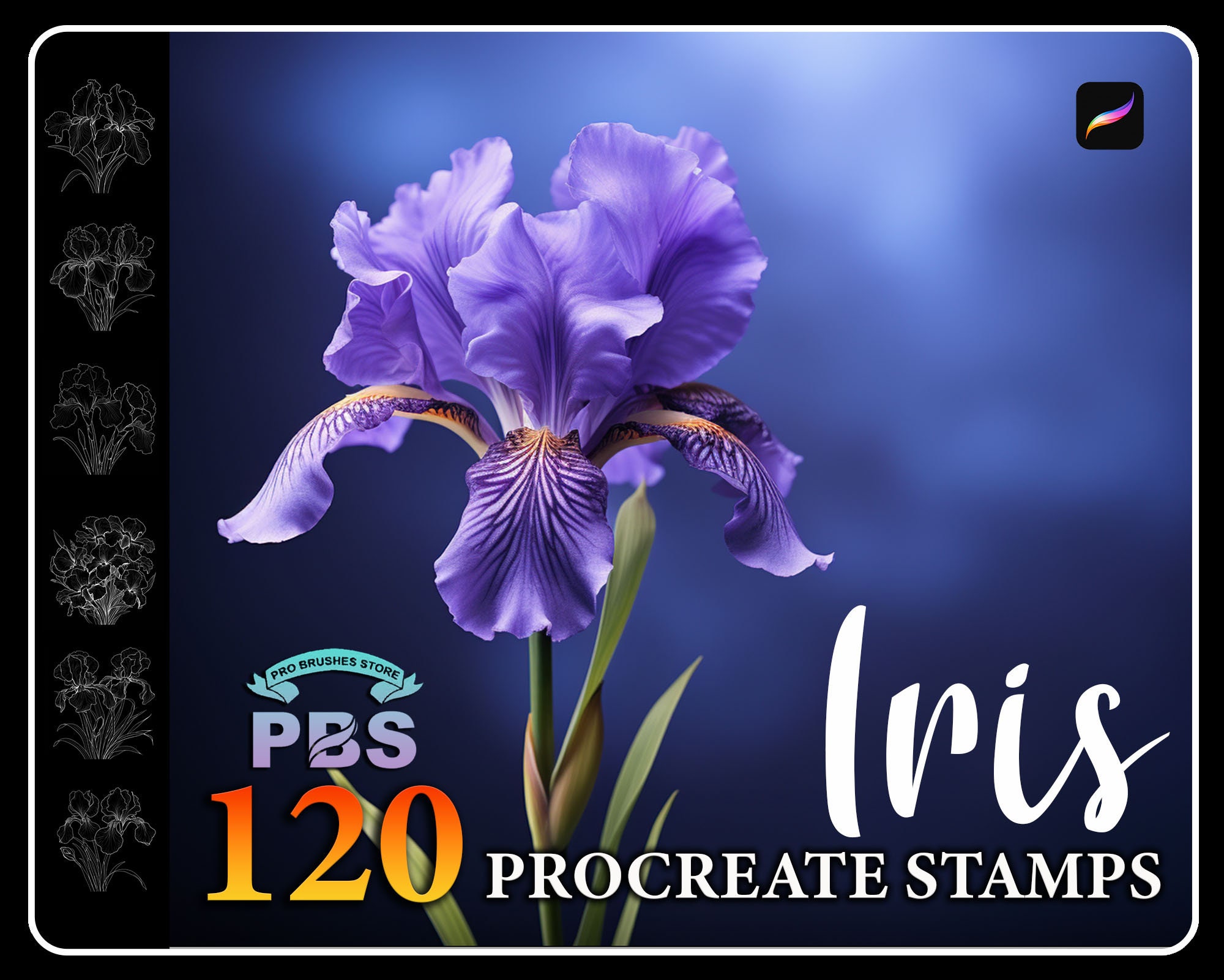 120 Procreate Iris Flower Stamps – Botanical Flower Brushes for Procreate iPad Art