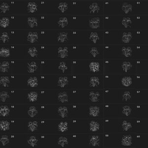 Pode incluir: Uma grade de 60 desenhos em preto e branco de flores de &iacute;ris. Cada desenho &eacute; numerado de 1 a 60.