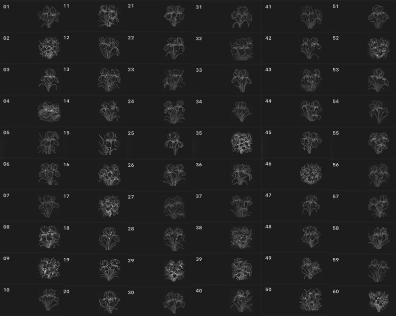 Pode incluir: Uma grade de 60 desenhos em preto e branco de flores de &iacute;ris. Cada desenho &eacute; numerado de 1 a 60.