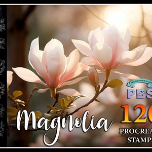 120 Procreate Magnolia Stamps, Magnolia brush for procreate, Flower procreate stamp, instant digital download.