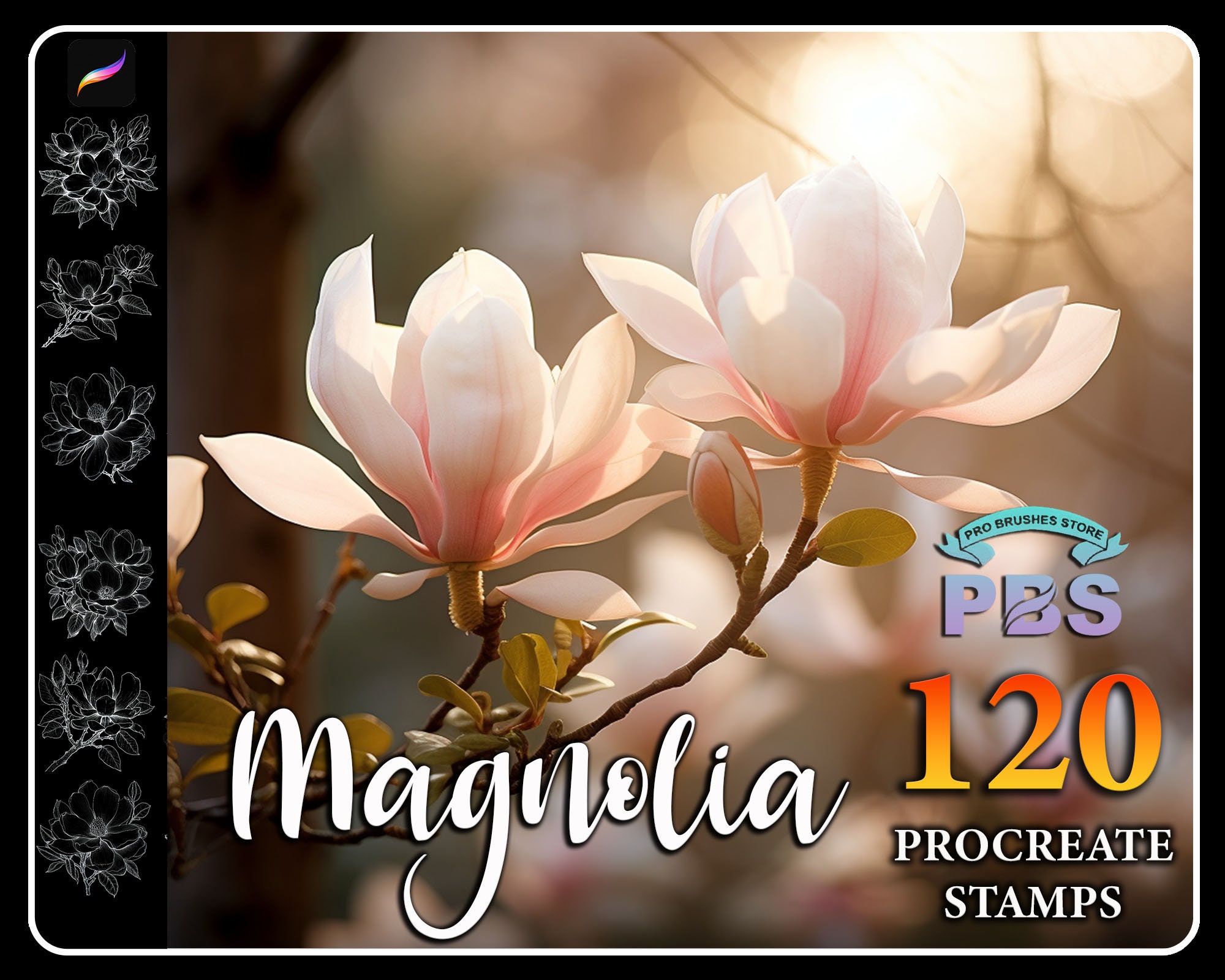 120 Magnolia Flower Procreate Stamps: Brush Set (digital Download) - Etsy