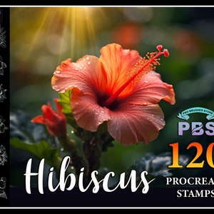 120 Procreate Hibiscus Stamps, Hibiscus brush for procreate, Flower procreate stamp, instant digital download. image 1