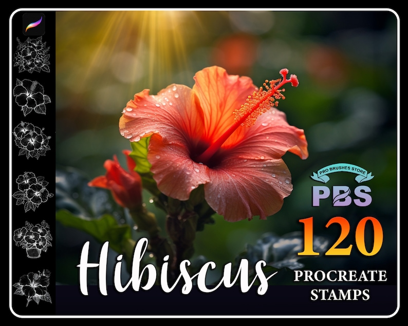 120 Procreate Hibiscus Stamps, Hibiscus brush for procreate, Flower procreate stamp, instant digital download. image 1