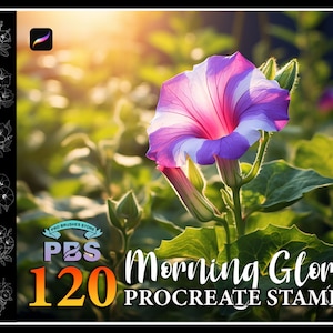 120 Procreate Morning Glory Stamps, Morning Glory Flower Stamps for procreate, Flowers procreate stamp, Flowers brush procreate