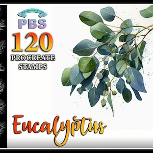 120 Procreate Eucalyptus Stamps, Eucalyptus brush for procreate, Plant Procreate stamp