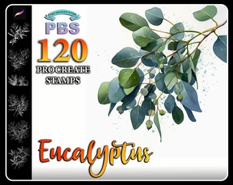 120 Procreate Eucalyptus Stamps, Eucalyptus brush for procreate, Plant Procreate stamp