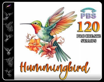 120 Procreate Hummingbird Stamps, Hummingbird brush for procreate, Floral Hummingbird procreate stamp, instant digital download.