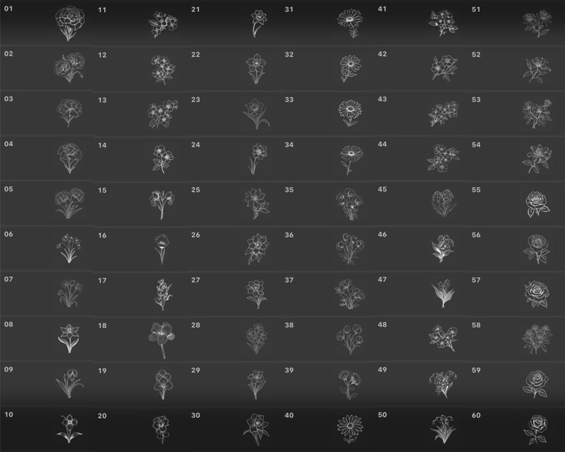 120 Birth Month Flower Procreate Stamps & Brushes (digital Download) - Etsy