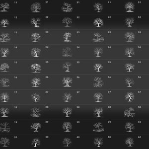 Puede incluir: Una cuadr&iacute;cula de 60 im&aacute;genes en blanco y negro de &aacute;rboles. Cada imagen est&aacute; numerada del 01 al 60.