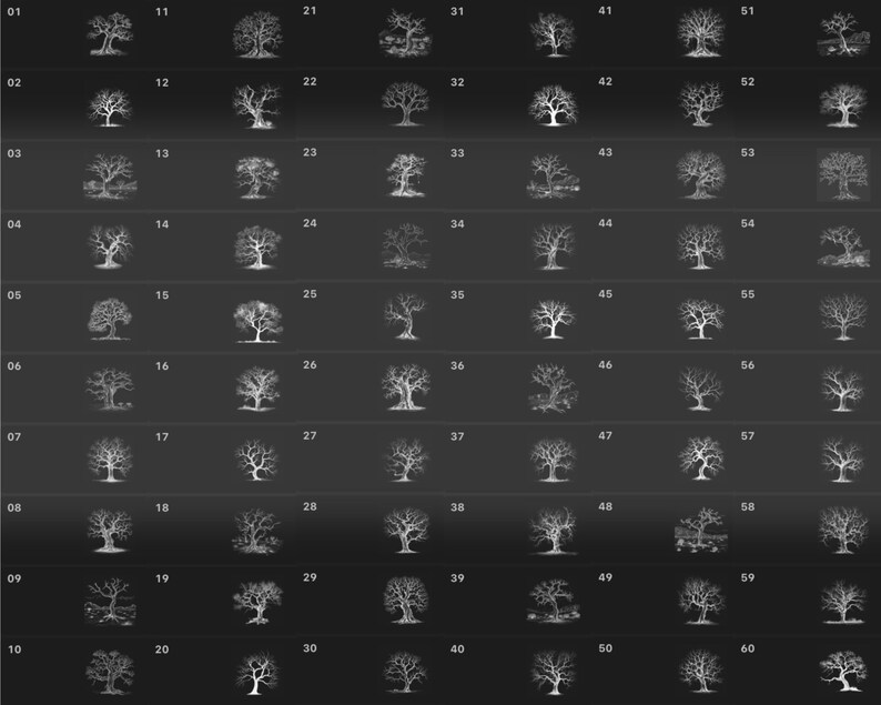 Puede incluir: Una cuadr&iacute;cula de 60 im&aacute;genes en blanco y negro de &aacute;rboles. Cada imagen est&aacute; numerada del 01 al 60.