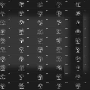 Puede incluir: Una cuadr&iacute;cula de 120 im&aacute;genes en blanco y negro de &aacute;rboles desnudos, numerados del 61 al 120.