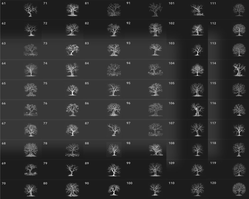 Puede incluir: Una cuadr&iacute;cula de 120 im&aacute;genes en blanco y negro de &aacute;rboles desnudos, numerados del 61 al 120.