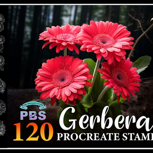 120 Procreate Gerbera Stamps, Gerbera Flower brush for procreate, Flower procreate stamps, Gerbera stamp for procreate.