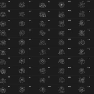 May include: A grid of 120 black and white line drawings of lotus flowers. Each flower is unique and has a different design. The drawings are arranged in a grid of 12 rows and 10 columns.