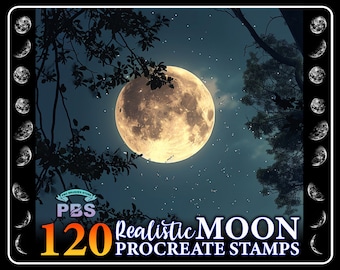 120 sellos lunares realistas para Procreate: Pinceles de paisajes espaciales (descarga digital)