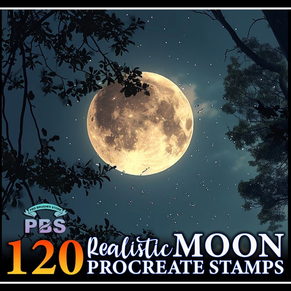 120 Timbres de lune réalistes procréer, timbres de phase de lune pour procréer, timbre de procréation de lune, pinceaux de paysage procréer