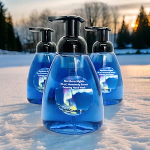 Northern Nights Foaming Hand Soap: Winter Holiday Scent (10 oz)