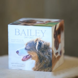 May include: A wooden cube memorial with a photo of a brown and white dog. The text "BAILEY 2007-2022 Trusted friend & loyal companion You will be in our hearts forever" is printed on the cube.