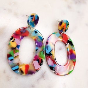 Oval Shaped Resin Earrings