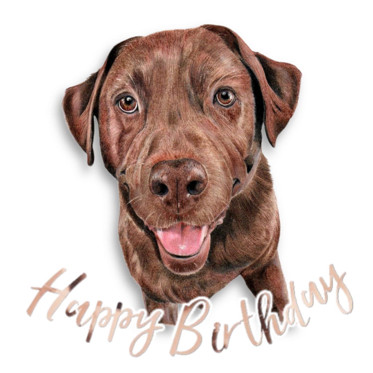 Happy Birthday card Chocolate Lab 3pk Etsy
