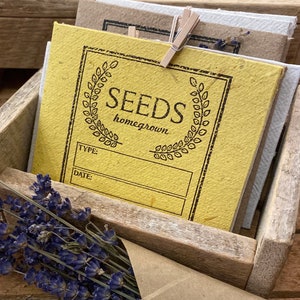 Seed Envelopes - Etsy
