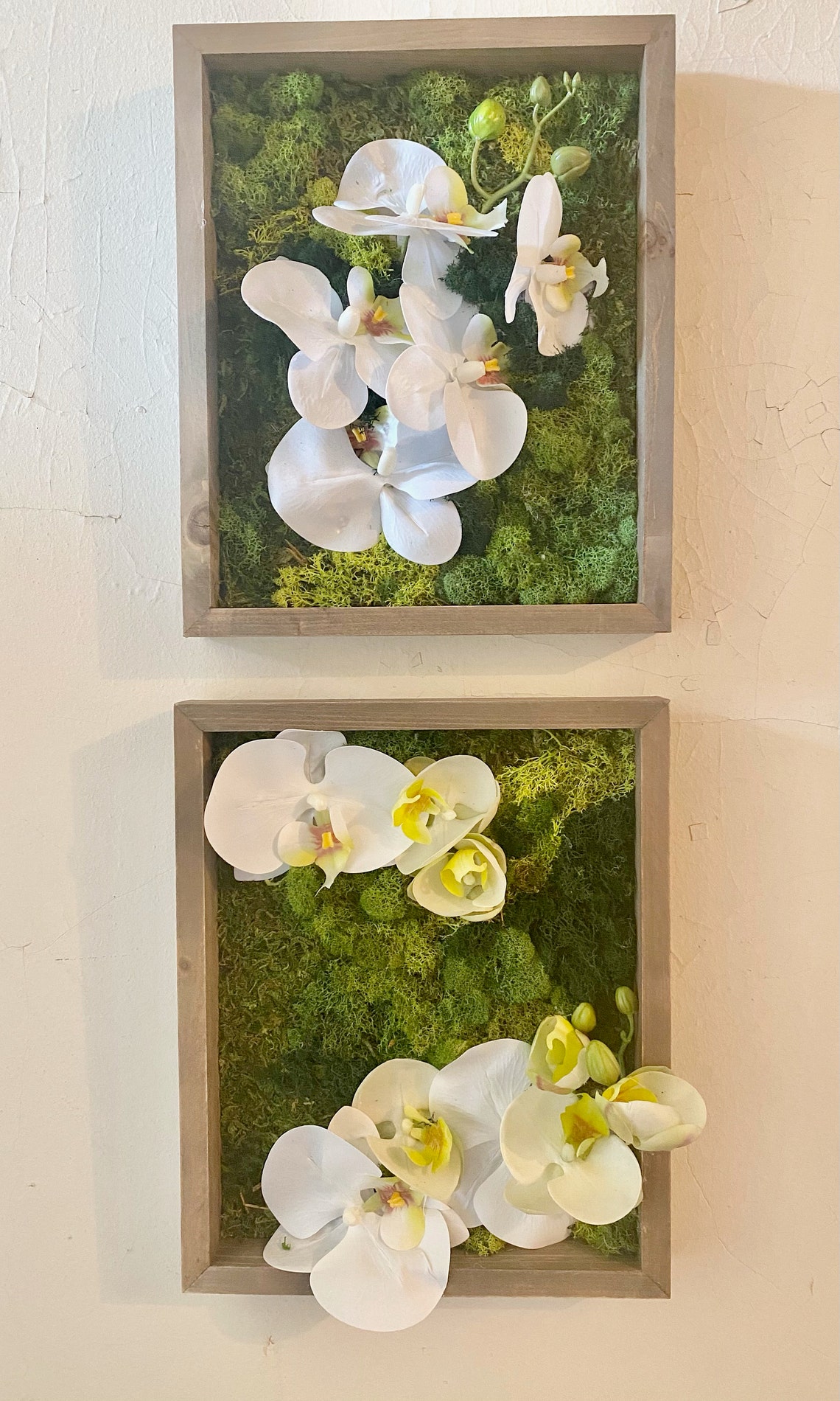 Exposed Orchid Wall Art Set of 2 | Etsy