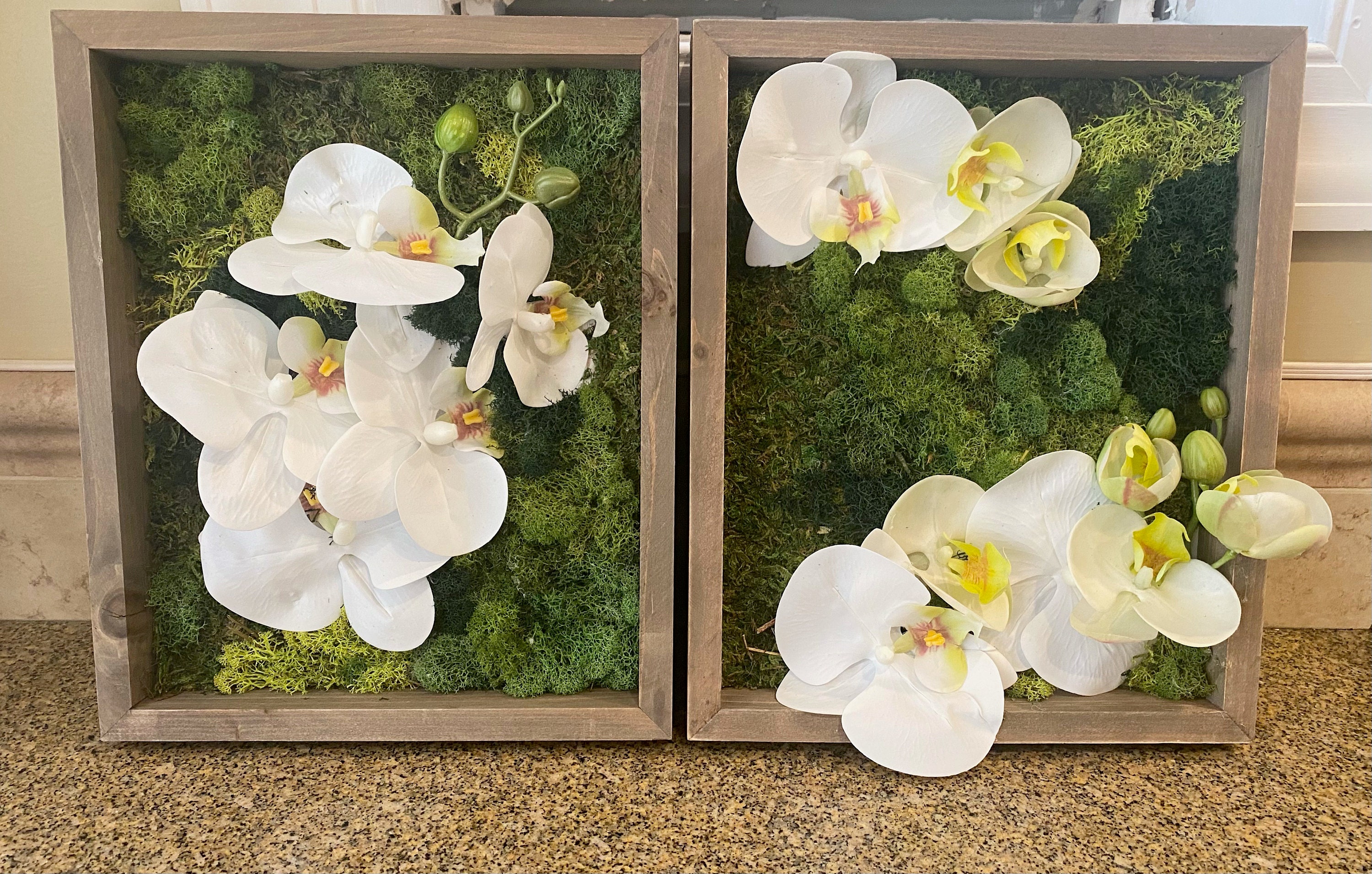 Exposed Orchid Wall Art Set of 2 Etsy