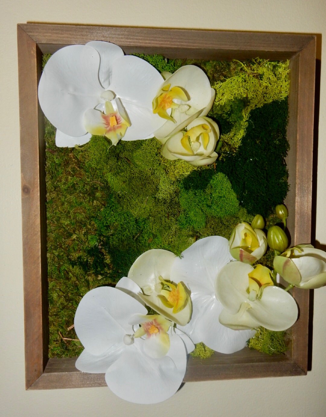 Exposed Orchid Wall Art Set of 2 Etsy