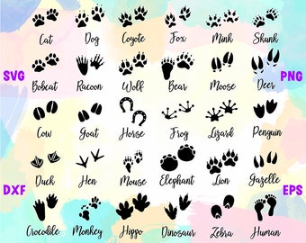 Download Animal Tracks Svg Etsy