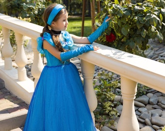 Princesse Costume, Princesse Birthday Dress, Party Gown, Toddler Tutu Dress