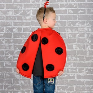 Ladybug Costume: Handmade Insect Outfit, Halloween Pretend Play