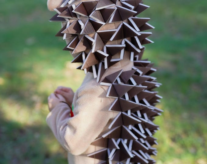 Hedgehog Costume for Boys & Girls