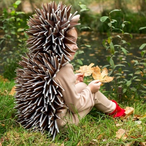 Halloween Adventure: Toddler Hedgehog Costume