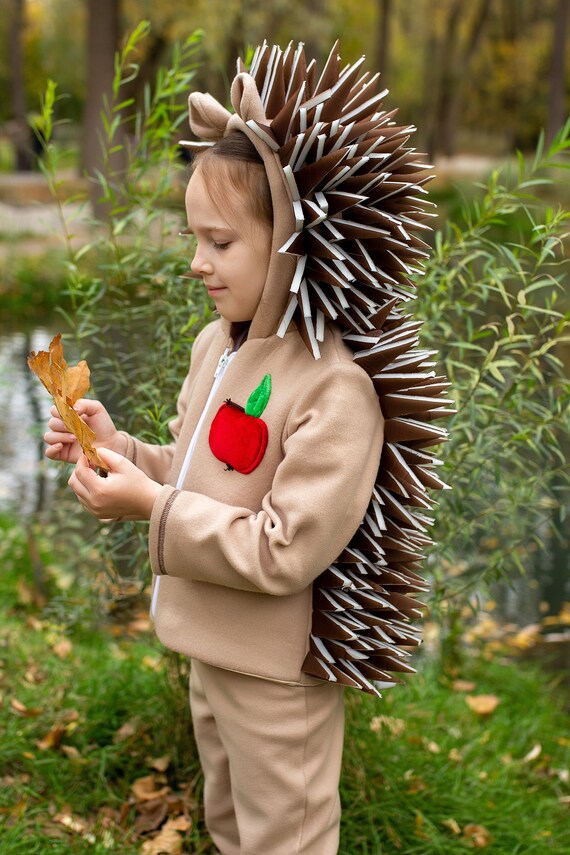 Hedgehog costume deals
