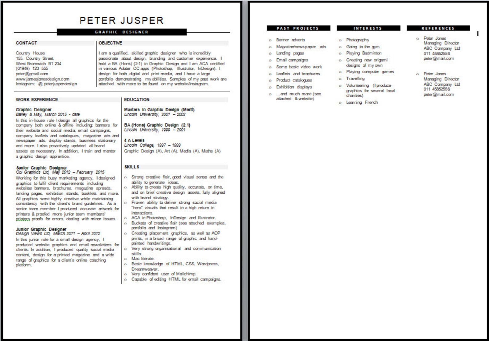 Free Printable Professional Resume Template