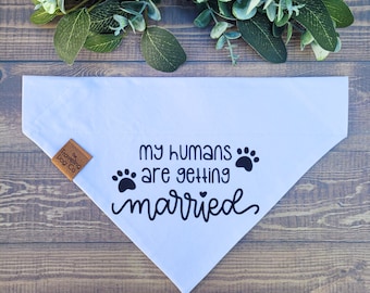 My Humans Are Getting Married! Engagement and wedding over the collar dog or cat bandana