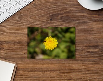 Pause | Standard Postcard