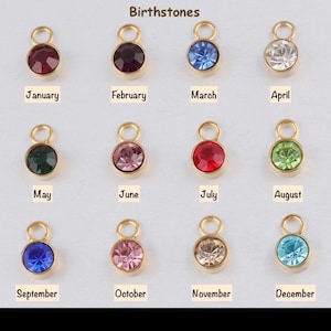 ADD ON GOLD Birthstone Birth Sign, Constellation Signs, Letters, Personalized Charm, Stainless Zircon Pendant For Necklace Bracelets Anklets image 7