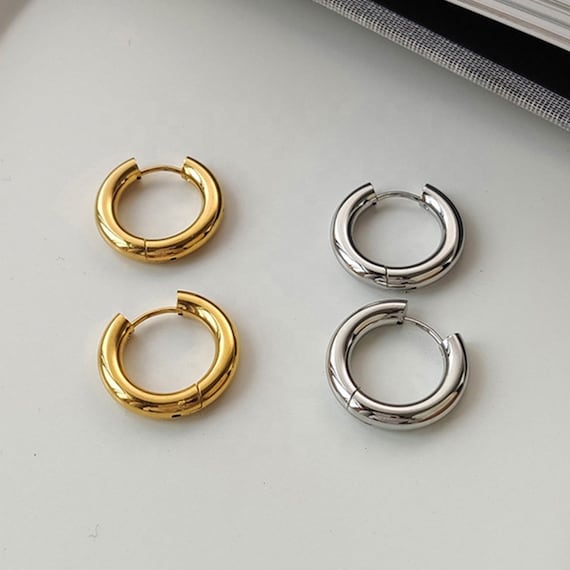 Gold Silver Finish Hoop Earrings For Women Hoop Earring Hypoallergenic Anti Tarnish Stainless Steel Waterproof Jewelry Gift For Her Girl