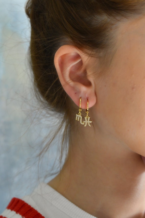 Gold Zodiac Earrings, Letter Initial Earrings, Gold Zodiac Jewelry, Zodiac Sign, Zircon Stone Earrings, WATERPROOF Gold Hoop Earrings