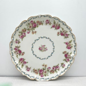 GDA Limoges Rose Floral Ornate Hand Painted Decorative Plate