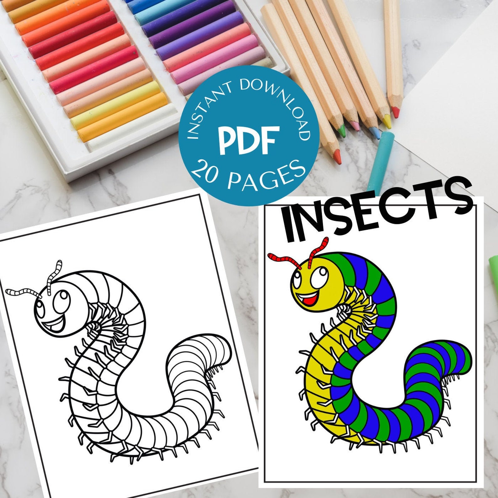 Download Insect Coloring Pages 20 Pages to Color Instant Download PDF | Etsy