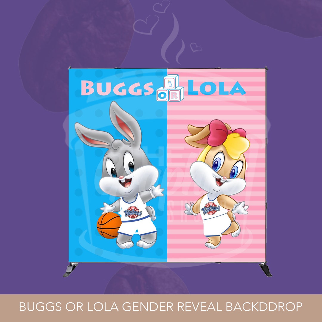 Baby Space Jam Gender Reveal Backdrop Pink/blue Buggs or Lola Etsy