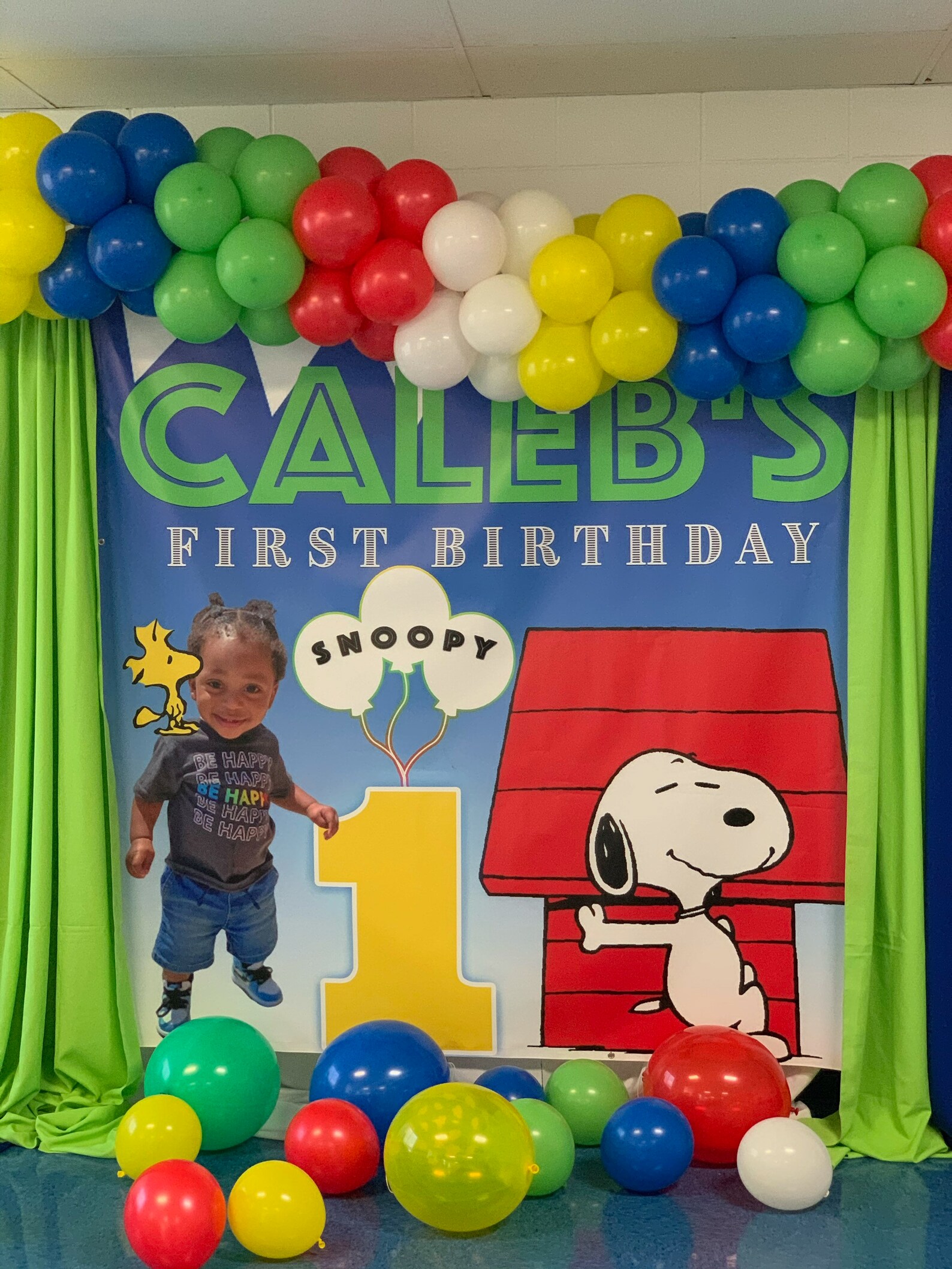 Snoopy Backdrop Custom Snoopy & Peanut Party BackdropVinyl Etsy