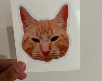 Custom Pet Face Stickers – Personalized Cat Stickers, Pet Parent Gift, Laptop Stickers, Custom Photo Sticker, Custom Cat Face Decals