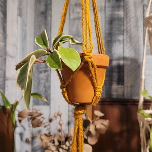 May include: A macrame plant hanger with a terracotta pot and a green plant with white variegation. The hanger is made of natural jute rope and has a warm, earthy tone.