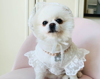 Robe de mariée d’été pour animaux de compagnie | Élégante dentelle blanche | Pour lapins, chats et chiens