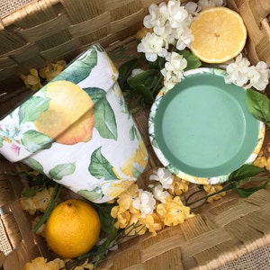 Lemons plant pot gift, terracotta pot, indoor plants, lemon gifts, lemon trees, lemons, yellow gift, plant pot saucer, plant lover, gardener