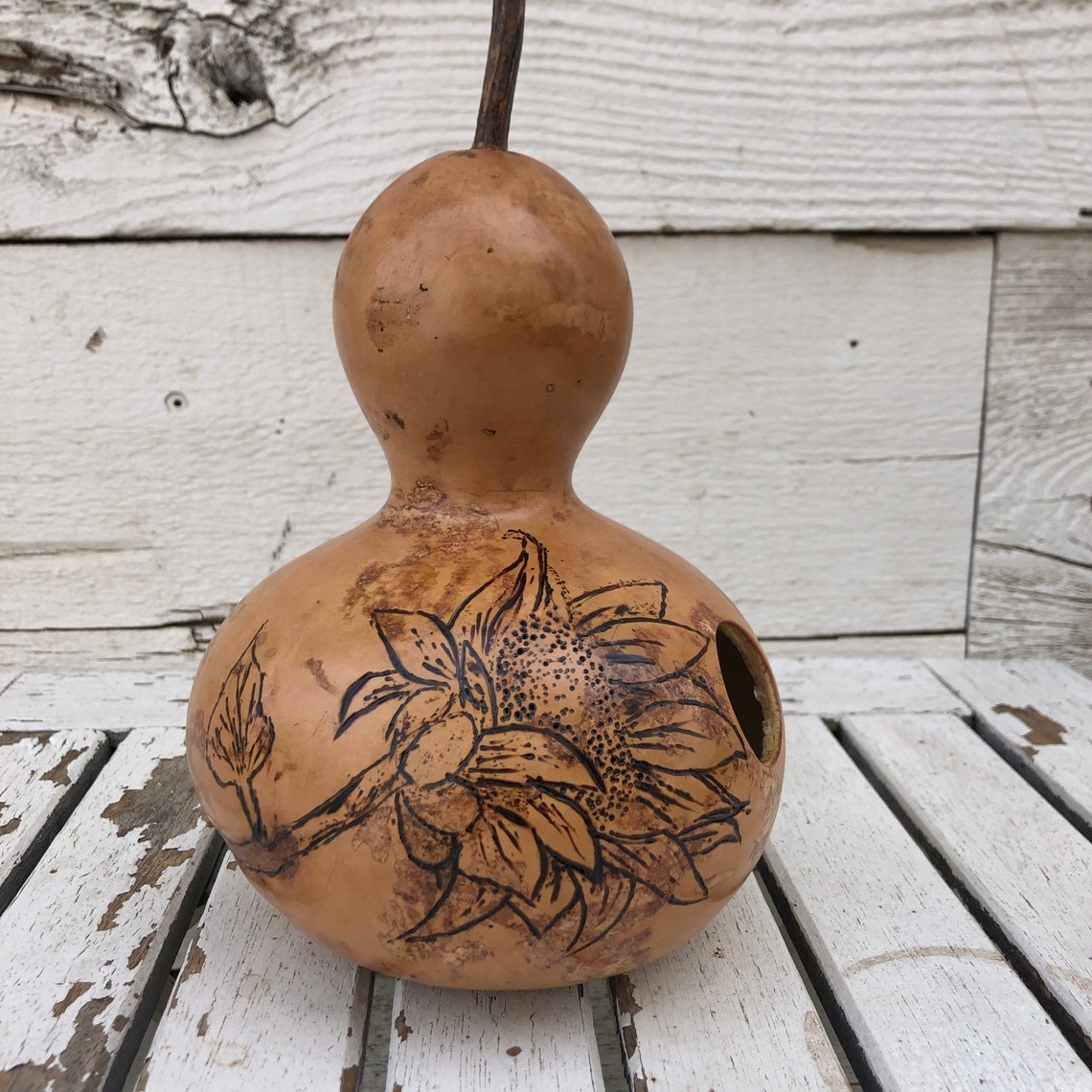 Birdhouse Gourd Birdhouse with decorative floral wood burning Etsy